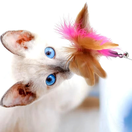 Interactive Cat Toy – Feather Teaser Wand with Bell