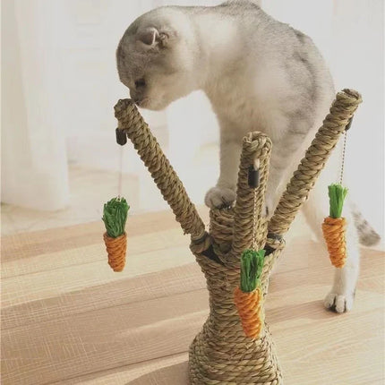 Rabbit Toy Set – Wicker Grass Climbing and Chewing