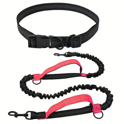 PawStrap Dog Leash – Retractable Hands-Free with Shock Absorption