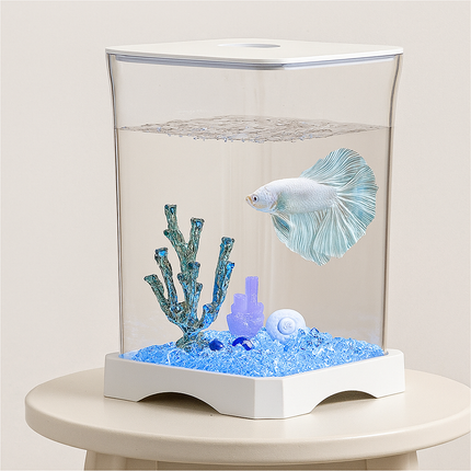 Desktop Acrylic Fish Tank – Transparent Small Tank for Fish or Amphibians (ALLE FOTO'S ZIJN NIET GOEDGEKEURD)