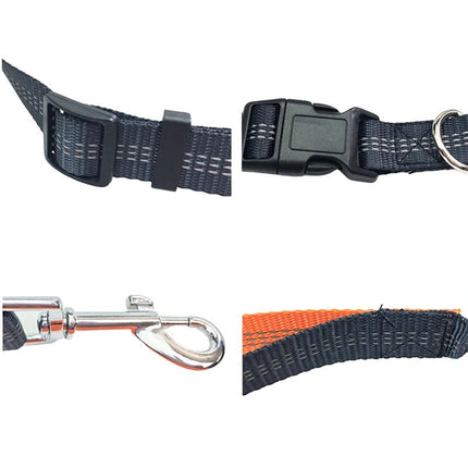 PawStrap Dog Leash – Retractable Hands-Free with Shock Absorption