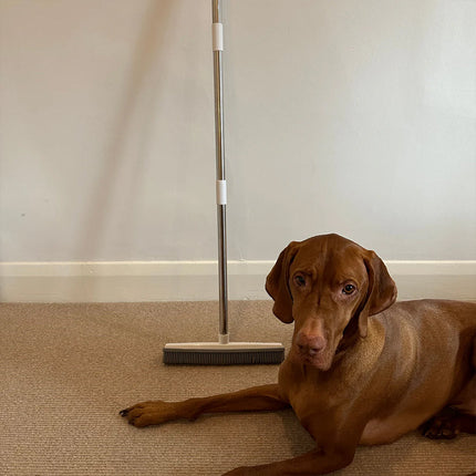 Rubber Broom with Squeegee – Pet Hair Remover for Floors