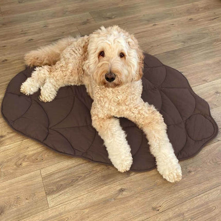Pet Blanket – Washable Double-Sided Mat with Leaf Design for Dogs