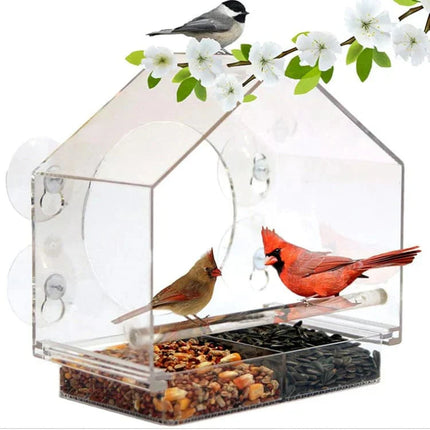 Window Bird Feeder – Transparent Suction Cup Feeder for Outdoor Birds