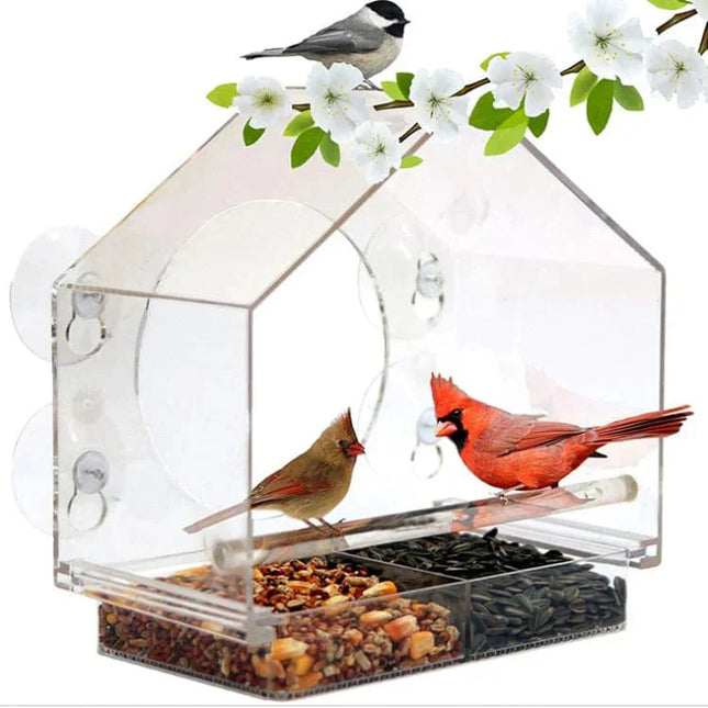 Window Bird Feeder – Transparent Suction Cup Feeder for Outdoor Birds