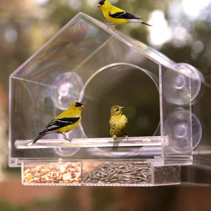 Window Bird Feeder – Transparent Suction Cup Feeder for Outdoor Birds
