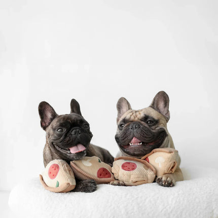 Pizza Dog Toy – Interactive Snuffle Mat with Treat Hiding Spots